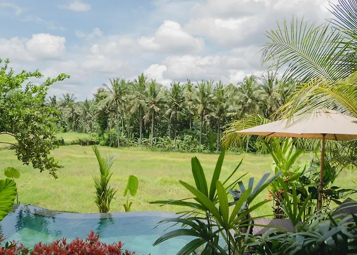 Mancur Gasthof 4*