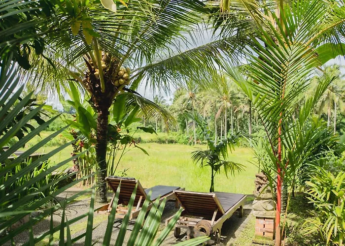 Mancur 4* Ubud