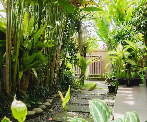 Mancur 4* Ubud