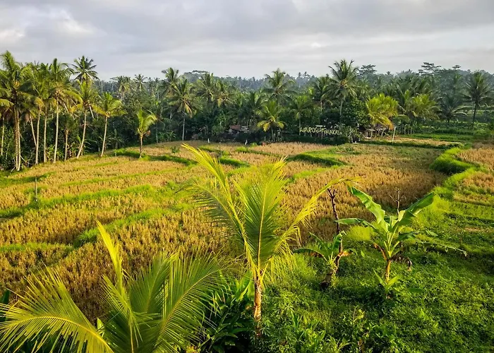 Gasthof Mancur Ubud