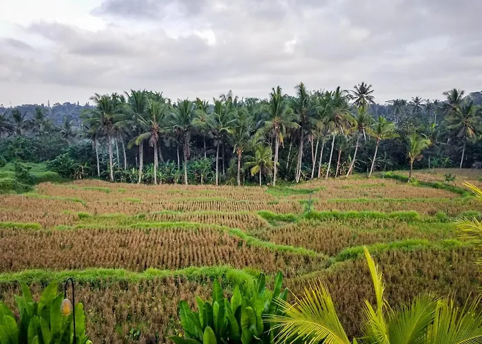 Mancur Gasthof Ubud